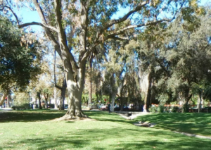 Holmby Park Westwood CA
