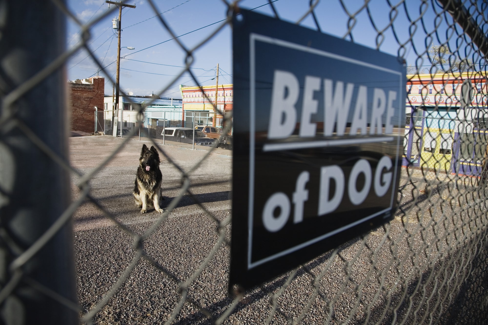 Dog Bite Lawyer Brentwood, CA